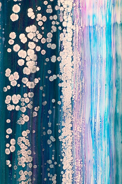 Art Exhibitions: A Guide for Collectors